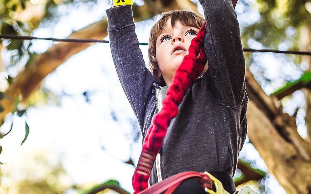 5 Best Fun Activities for Kids at Acrobranch