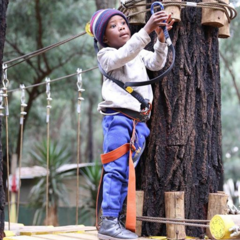 Child navigating the Acro-twigs course using clips at Acrobranch Casalinga