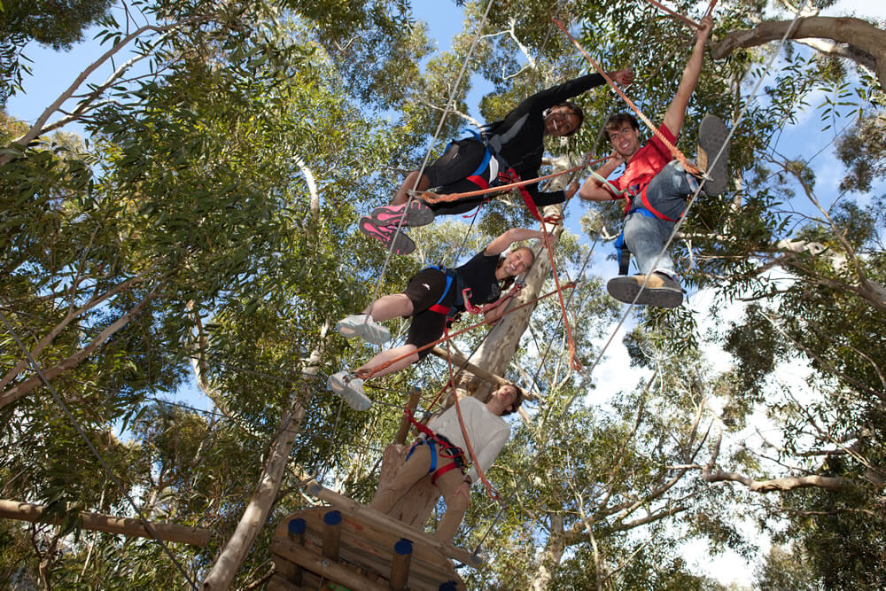 fear-of-heights-treetop