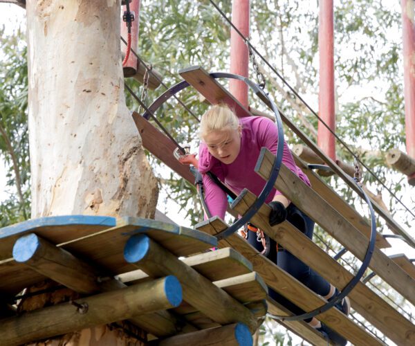 blue-combo-course-at-acrobranch-constantia