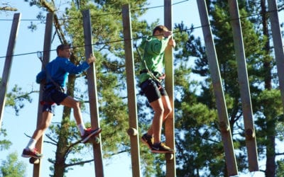 Go on a team adventure at Acrobranch!