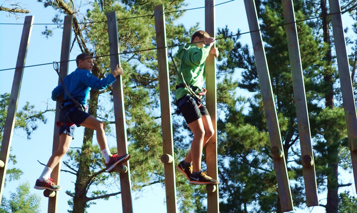 Go on a team adventure at Acrobranch!