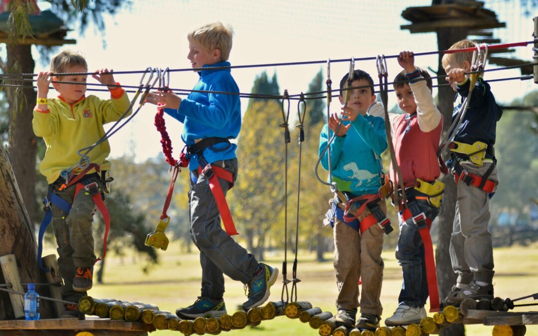 How School Trips Are Benefit For Students?