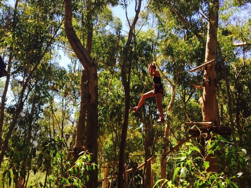 Cape Town Blogger gets a workout at Acrobranch