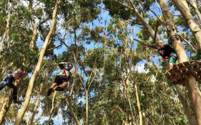 Teambuilding or Ziplining? Here’s how to Tag your Team’s best Pictures !