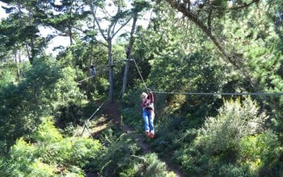 Enjoy your family holidays on the Garden Route with a great day of outdoor activity at Acrobranch