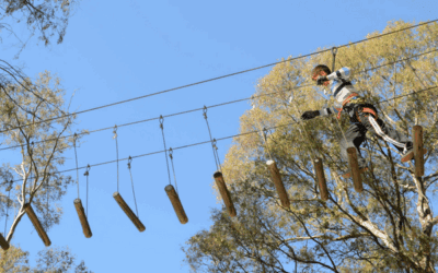 How to Prepare for Your Treetop Adventure at Acrobranch