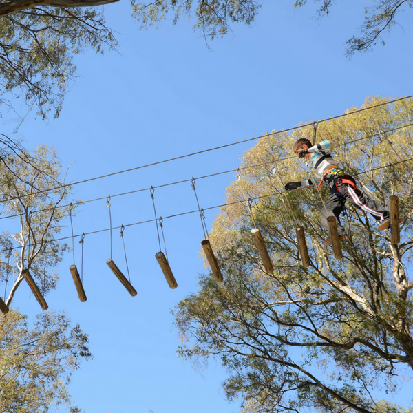 How to Prepare for Your Treetop Adventure at Acrobranch