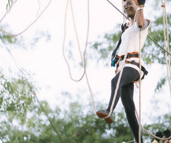 Tree-Top Experiences