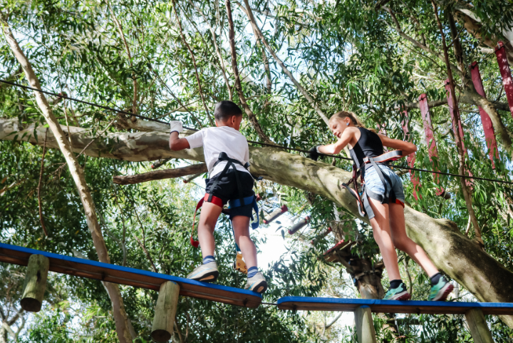 outdoor-activity-adventure-park